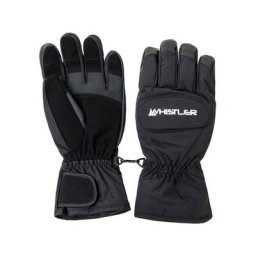WHISTLER Skihandschuhe Slough mit wasserdichter Funktion