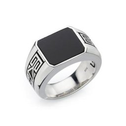 HECHTER PARIS Siegelring D4006R/90/13, D4006R/90/AG, mit Onyx oder Tigerauge
