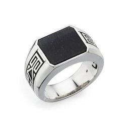 HECHTER PARIS Siegelring D4006R/90/13, D4006R/90/AG, mit Onyx oder Tigerauge