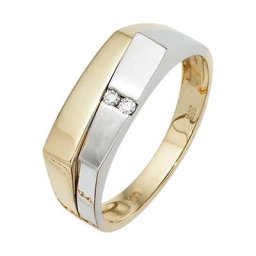 JOBO Diamantring, 585 Gelbgold Weißgold mit 2 Diamanten