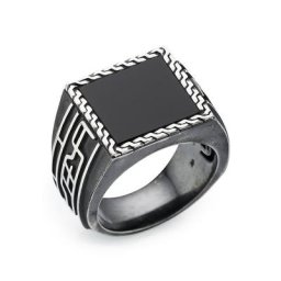 HECHTER PARIS Siegelring D4007R/90/13, D4007R/90/AG, mit Onyx oder Tigerauge