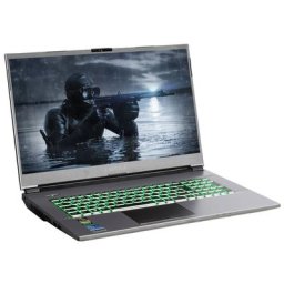 CAPTIVA Advanced Gaming I64-005 Gaming-Notebook (43,9 cm/17,3 Zoll, Intel Core i5 11400H, GeForce GTX 1650, 1000 GB HDD, 500 GB SSD)