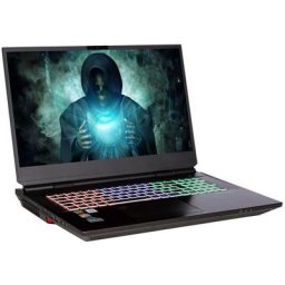 CAPTIVA Advanced Gaming I61-977 Gaming-Notebook (43,9 cm/17,3 Zoll, Intel Core i7 11700K, GeForce RTX 3070, 2000 GB SSD)
