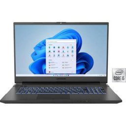Medion® Defender P10 Gaming-Notebook (43,9 cm/17,3 Zoll, Intel Core i5 10300H, GeForce RTX 3060, 1000 GB SSD)