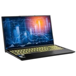 CAPTIVA Power Starter I71-831 Business-Notebook (43,9 cm/17,3 Zoll, Intel Core i3 1220P, 250 GB SSD)