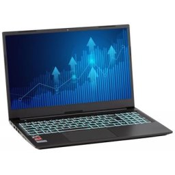 CAPTIVA Power Starter R60-922 Business-Notebook (39,6 cm/15,6 Zoll, AMD Ryzen 7 Ryzen 7 4700 U, 250 GB SSD)