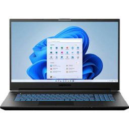 Medion® Defender P15 R5-5600H 43,94cm (P) Gaming-Notebook (43,9 cm/17,3 Zoll, AMD Ryzen 5 5600H, GeForce RTX™ 3050 Ti, 1000 GB SSD)