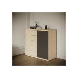 TemaHome Kommode Hugo, mit Schubladen und Tür