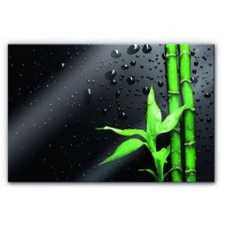 Wall-Art Küchenrückwand Spritzschutz Bambus Bamboo, (1-tlg)
