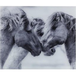 WENKO Küchenrückwand Horses, gehärtetes Glas, 60x50 cm
