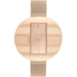 Calvin Klein Quarzuhr Circular Mesh, 25200017