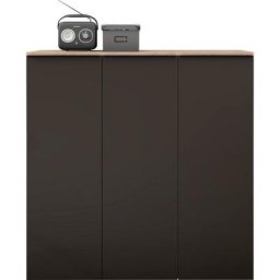 borchardt Möbel Aktenschrank Tom Breite 114 cm, Mehrzweckschrank