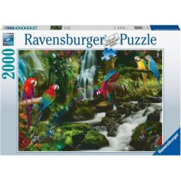 Ravensburger Puzzle Bunte Papageien im Dschungel, 2000 Puzzleteile, Made in Germany, FSC® - schützt Wald - weltweit