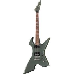 ESP LTD MAX-200 RPR MGR