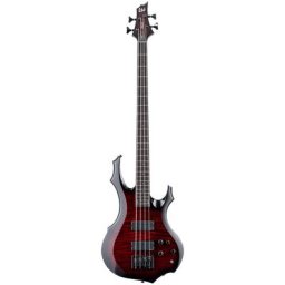 ESP LTD F-1004