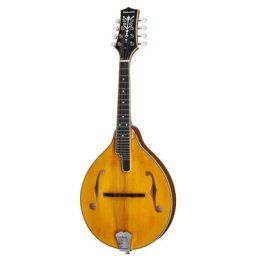 Richwood RMA-110-VS A-Style