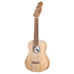Fender Zuma Concert Uke Spalted Maple