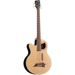 Warwick RB Alien Standard 5 NT LH