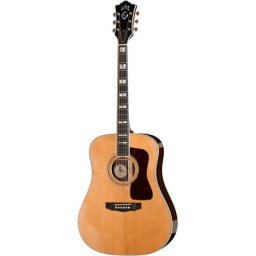 Guild D55 NA USA