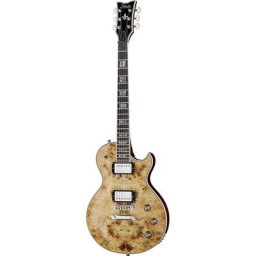 Schecter Solo-II Custom GNAT