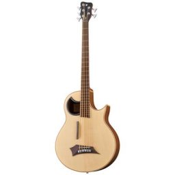 Warwick Alien 5 NT