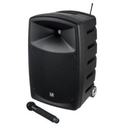 LD Systems Road Buddy 10