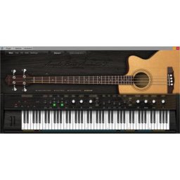 Ample Sound Ample Bass Acoustic III