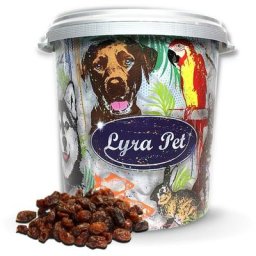 10 kg Lyra Pet® Rosinen in 30 l Tonne