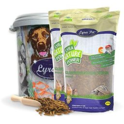 5 kg Lyra Pet® Soldatenfliegenlarven in 30 l Tonne