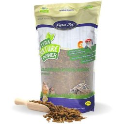 2,5 kg Lyra Pet® Soldatenfliegenlarven