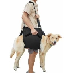 Hundetrageschlinge, Notfallrucksack Haustierbeine Unterstützung & Rehabilitation Hund (XL, Schwarz)