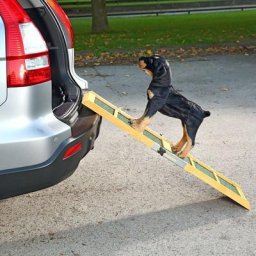 Mucola - Hunderampe Hundetreppe Autorampe Einstiegshilfe Teleskop Rampe Auto Hunde