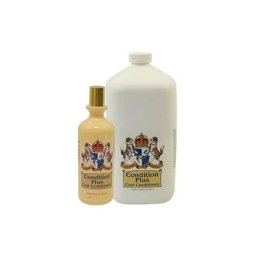 Aufbereiter Plus Crown Royale 3.8L