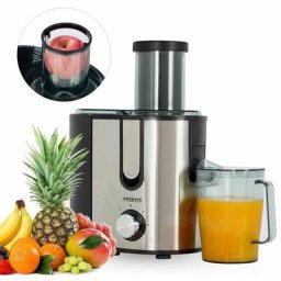 Arebos - Entsafter Saftpresse Edelstahl Presse Saft Slow Juicer Frucht Obst 800W