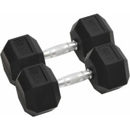 Vidaxl - Kurzhanteln 2 Stk. 25 kg Gusseisen n/a