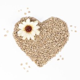 10 kg Lyra Pet® Sonnenblumenkerne geschält bruch hk Bulgarien