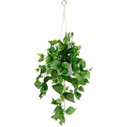 Kunstpflanze Künstliche Philo-Hängeampel mit Hängeampel, I.GE.A., Höhe 80 cm, Topfpflanze Kunstblume