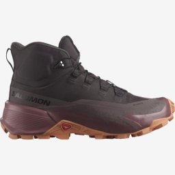 Salomon Damen Cross Hike Mid GTX 2 braun 41.3