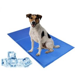 Kühlmatte Hundekissen für Hunde Katzen Selbstkühlend Kühldecke Kältematte Eismatte 50*90CM - Blau