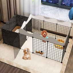 Faltbares Tiergehege für Hunde- und Katzenpark, 2 Fächer, 165 x75x57cm - Schwarz - Schwarz