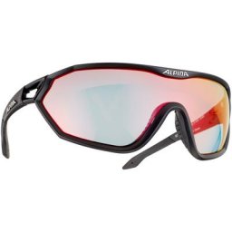Alpina S-Way QVM+ Brille schwarz 2023 Accessoires
