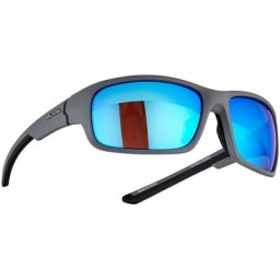 Alpina Lyron S Brille grau 2023 Accessoires