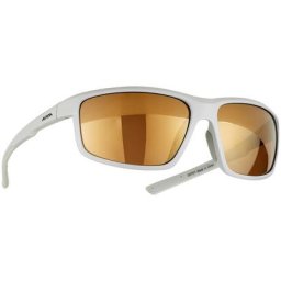 Alpina Defey Brille grau 2023 Accessoires