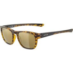 Alpina Lino II Brille schwarz/orange 2023 Accessoires