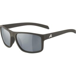 Alpina Nacan I Sonnenbrille grau 2023 Accessoires