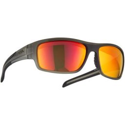 Alpina Testido Brille grau/transparent 2023 Accessoires