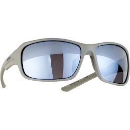 Alpina Lyron Brille grau 2023 Accessoires