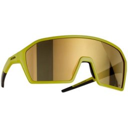 Alpina Ram Q-Lite Brille oliv 2023 Accessoires