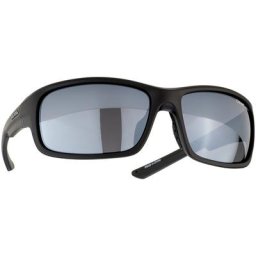 Alpina Lyron S Brille schwarz 2023 Accessoires