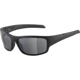 Alpina Testido Brille schwarz 2023 Accessoires